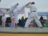 Bilder_2013 (8)